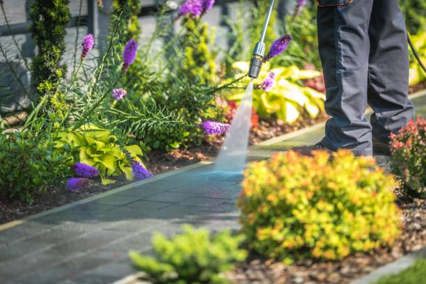 Best Animal Enclosure Cleaning  in Byron, GA